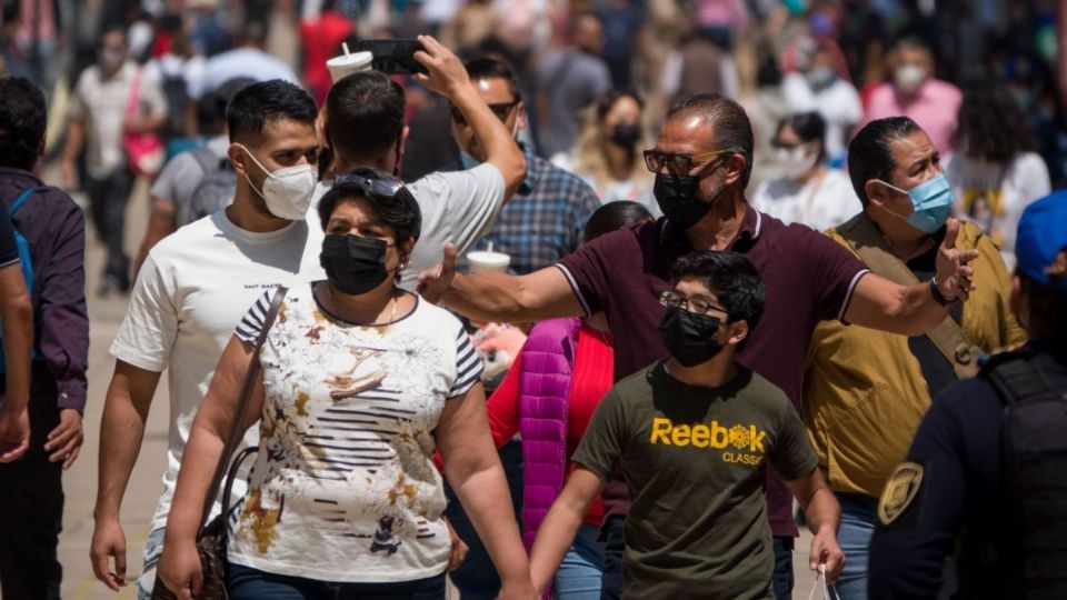 f960x540-442192_516267_0