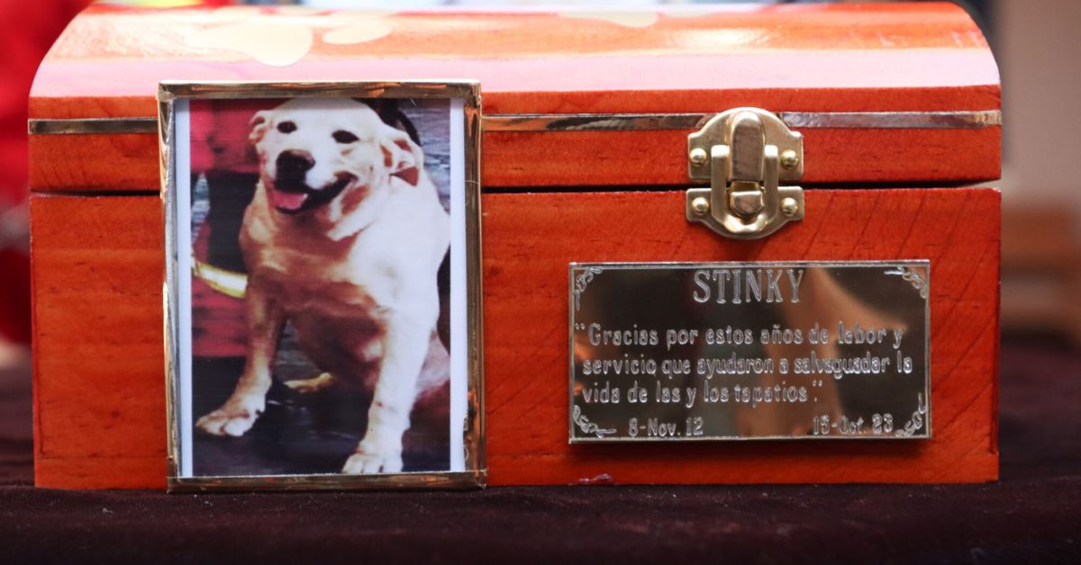 A nombre de la Coordinación Municipal de Protección Civil y Bomberos de Guadalajara, el Comandante agradeció al Escuadrón Canino por su valentía