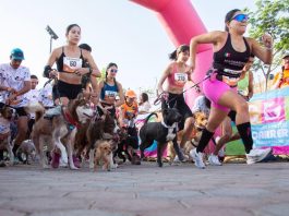 ¡Listo el Serial de Carreras “Tlaquepaque Run 2025
