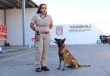 Refuerzan decomiso de pirotecnia en Tlaquepaque