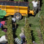 Salud y trabajadores agrícolas migrantes en EU