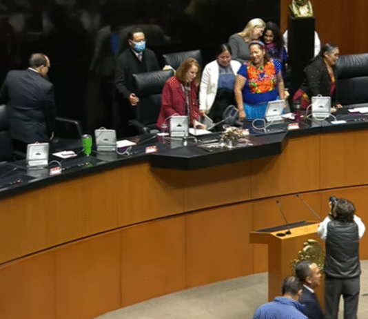 Publican sueldos de diputados para 2026