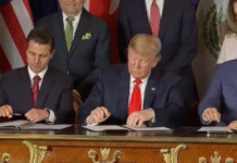 Empresas mexicanas exigen renovar el T-MEC por 16 años