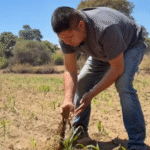 Productores de maíz amenazan con boicotear el Mundial 2026