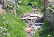 Tlaquepaque limpia arroyos al 99 por ciento
