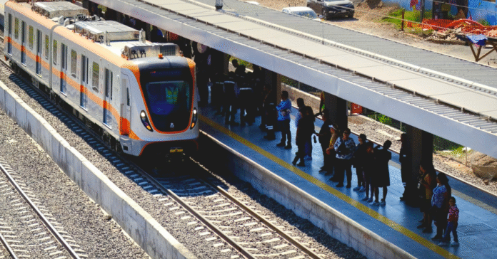 Rumbo MX (1200628)